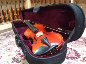 gifts for violinists - The Hot Fiddle